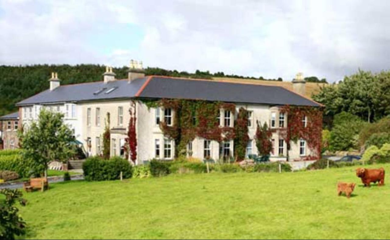 Bed & Breakfast Glendine Wexford
