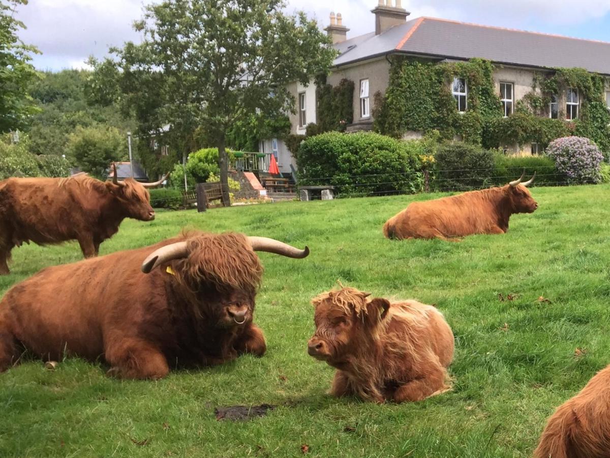 Glendine Wexford Bed & Breakfast